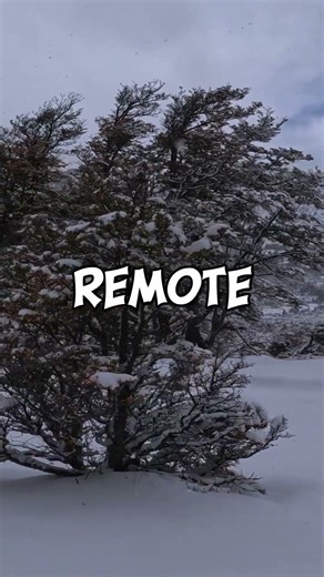 The Most Insane Story of Survival in the Arctic #shorts