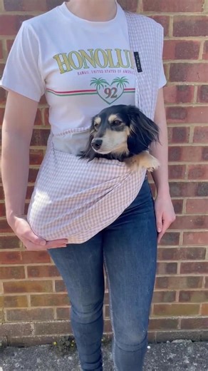 Lightweight Dachshund Sling: Small Dog Carry Bag - Etsy