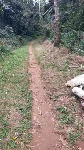 Les #bafang #ouestcameroun #follower le travail continue #ABONNEZ_VOUS_A_LA_PAGE #viralreels #viralvideoシ #fypシ゚ | plat cassable officiel