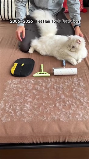 Effortlessly Remove Pet Hair from Every Surface