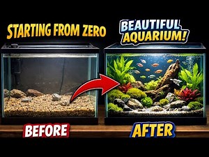 Before & After Aquarium Setup | Step by Step Beautiful Aquascape