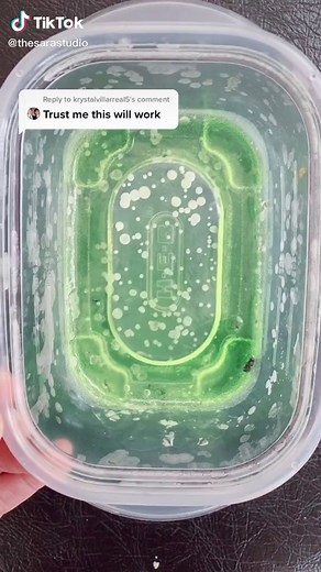 Reply to @krystalvillarreal5 real bug slime.