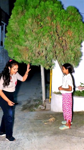 Mere ghar ke samne ab CCTV nahi, chhotu plant scouts duty pr rehte hain😂❌🌿#plants #gardening #garden