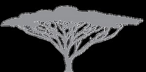 Africa's Leaders Speak | Harvard University Center for African Studies