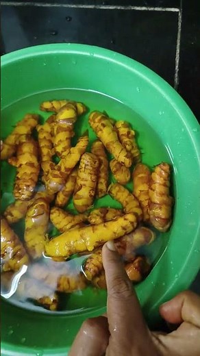 HOMEMADE ORGANIC HALDI POWDER | ORGANIC TURMERIC POWDER | HOW TO MAKE HALDI POWDER AT HOME | #shorts