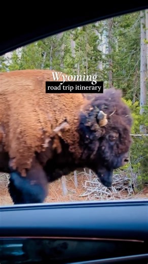 ELINA | travel & hotel creator on Instagram: "Read here for more details ⤵️ The ideal scenario is to visit Wyoming for 1 week — you can fly into Jackson Hole Airport and stay in Jackson. I stayed at The Lodge at Jackson Hole. I also went to an amazing steakhouse called Gun Barrel right next to the hotel. 🌋 What to visit in Grand Teton in 2 days: Jenny Lake, Inspiration Point, Jackson Lake, Leigh Lake, Snake River Overlook, Mormon Row, Schwabacher Landing, Glacier View Turnout, Oxbow Bend, Willo