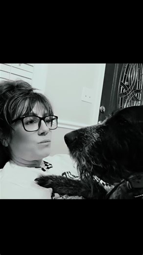 #dogsaregodsblessings #loyal #compainion #fyp