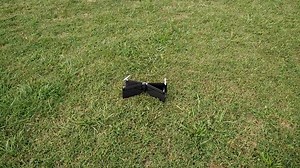 4.7K views · 40 reactions | Parrot swing all'aperto | Dronezine | Facebook