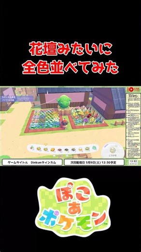 【ぽこ あ ポケモン】お花全種類、全5色綺麗に並べてみた【ライブ配信切り抜き】