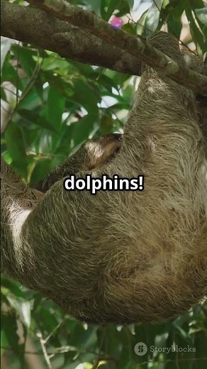 10 Fun Facts Kids Will Love!