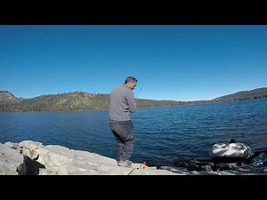 Fun Limit of Brookies & Rainbows at Gold Lake (Plumas National Forest, CA)