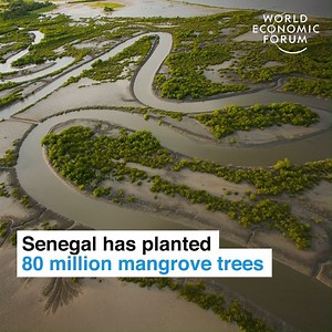350 villages, 10,000 hectares, 100,000 people. 📕 Read more: https://wef.ch/312CgQ | World Economic Forum