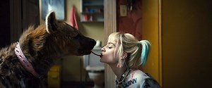 Here's how Birds of Prey brought Harley Quinn's hyena to life