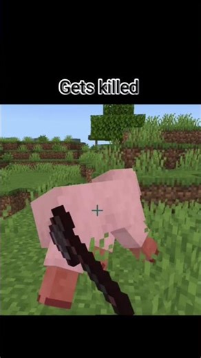 Sheep life cycle 💀 #minecraft