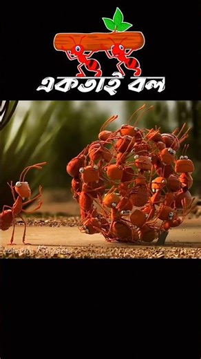একতাই বল | Unity is Strength Moral Story | Bangla Cartoon Shorts #3danimation #cartoon
