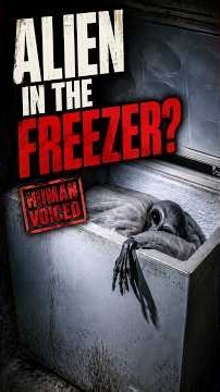 The 1996 Alien Encounter That Never Happened #alien #mystery #scary