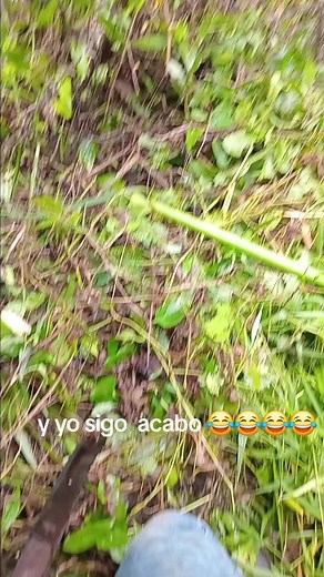 Videos de RCRD .CH.🐮❤️‍🩹🤠 (@panchitoch77) con “sonido original - bandido”