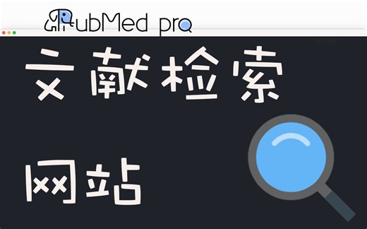 pubmedpro文献检索网站，秒速查找目标文献且支持中英文翻译一键切换