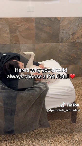 D Pet Hotels Scottsdale on TikTok