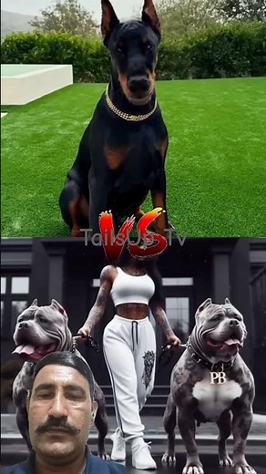 Doberman 🐕‍🦺 vs Pitbull 🐶 vs Great Dane 🦮: Battle of the Breeds