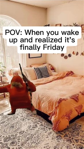 #Meme #MemeCut it Friday | memecut