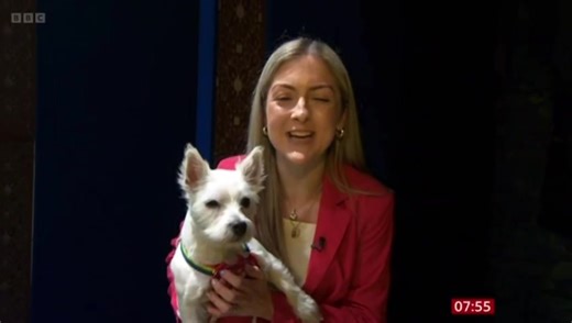 4.7K reactions · 159 shares | Pumpkin was on the BBC BREAKFAST SHOW...