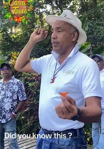 Have you ever seen this flower? This is Carlos from Sirroyalty Tours 👑 Look out for some more highlights from our first private Paramin Tour!!! 🌺