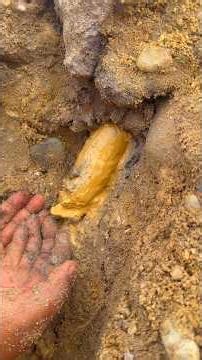 Wow, 😱 it's amazing, the yellow mudflow contains thousands, even millions of pure gold. #goldrush