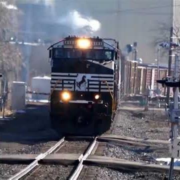 Man Runs In Front of Moving Train