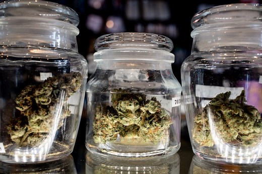 Sativa, indica, hybrid? Our guide to choosing the right strain of weed for you.