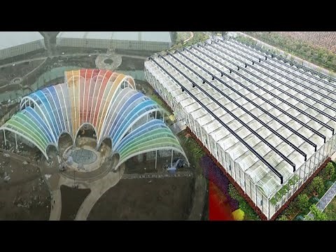 China's Most Unbelievable Farming Innovation Shocked The World