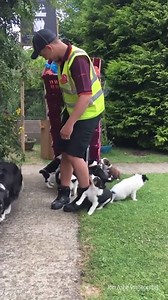 Shocking scenes of violent dogs attacking postman 😱 | VT