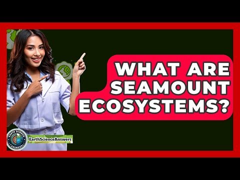 What Are Seamount Ecosystems? - Earth Science Answers