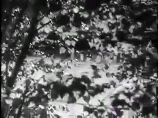 Ecstasy (1933) Hedy Lamarr