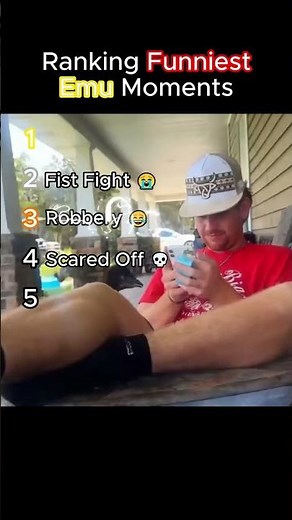 Top 5 Funniest Emu Moments 😂