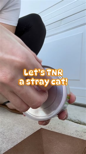 Let’s TNR a stray cat! 🐈 TNR or TNVR stands for trap, neuter/ spay, vaccinate & release/return. It’s an effective way to prevent further overpopulation of cats & kittens on the streets. It also helps to prevent accidents, injuries, spread of viruses & some health issues. #tnrworks #tnrsaveslives | South Florida Catsandkittens