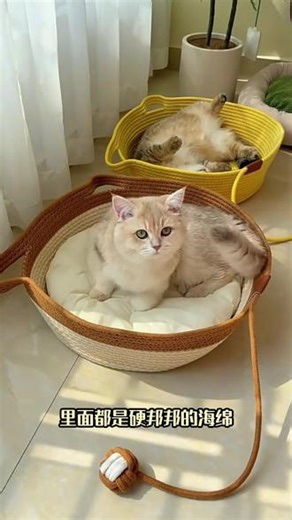 藤编猫窝夏天四季通用猫抓板超大号睡觉布偶专用床猫咪编织筐狗窝