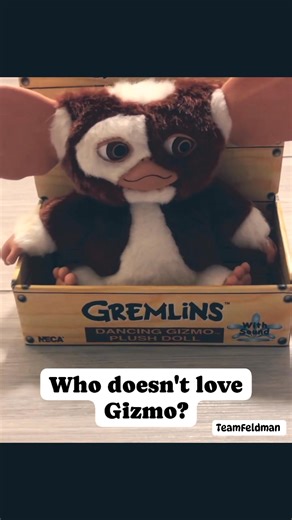 Who remembers the rules? #teamfeldman #coreyfeldman #gizmo #gremlins #dolls | Team Feldman