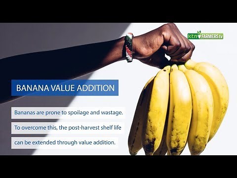 5 products you can make from Banana value addition