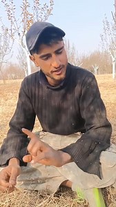 New video of pruning 😱very important for grovers #viralvideoシ #kashmire | Pulwama vlogers