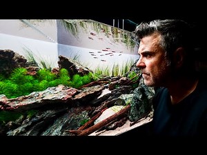 Building a Mountain Stream Aquascape (and the Perfect Fish for It)