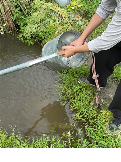 #ttslevelup #ShopVideoCarnival #seesii #seesiitools #fyp #fypシ #fypシ゚viral #PUMP #massfollowing🔥🔥 #Springtok 2002