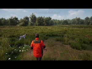 Hunting Simulator 2 - Pheasant hunting with German Shorthaired Pointer
