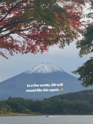 Experience the Beauty of Spring in Japan