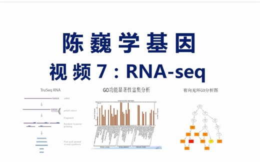 【陈巍学基因】视频7：RNA-seq