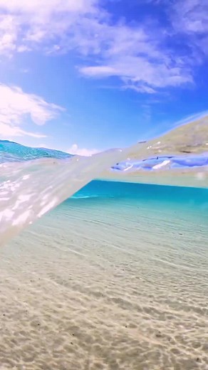 Explore the Beauty of Australian Beach Life 🏖️✨