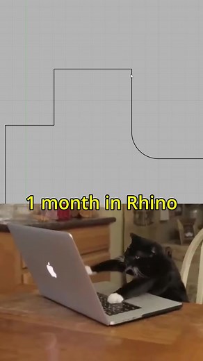 Noob vs Pro in Rhino 3D: Key Differences Explained