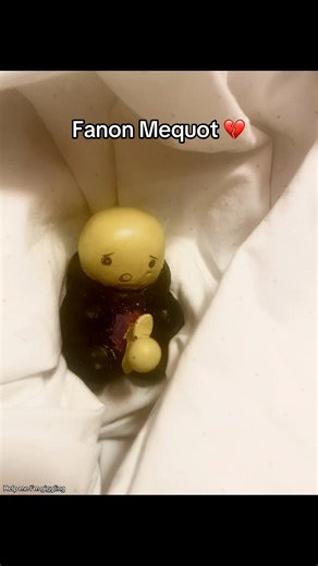 Exploring the Fanon Mequot Phenomenon