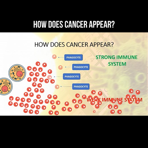 How does cancer appear? #cancer #oncology #onco #disease | About health and science in simple words | Facebook