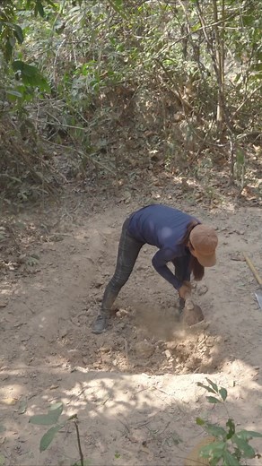 18K views · 380 reactions | Survival Girl, Building a Modern Private House One the Best in Jungle for Living Alone | Jungle Survival star | Facebook